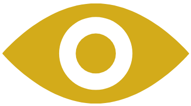vision